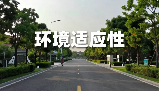 管网工程中设备管理对性能与适用条件的影响分析